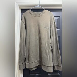 Carhartt Men's Crewneck Sweatshirt in Taupe Green